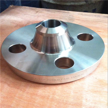 ANSI / DIN Carbon Forged / Stainless Steel Pn10 / 16 Welding Neck / Blind / Slip on / Flat / RF / FF Pipe Flanges 
