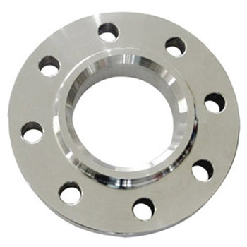 Carbon / Steel Mild Steel Stainless Casting / Forged Flange 