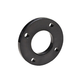 Carbon Steel / Stainless Steel Weld Neck Blind Forged Slip pada Flange Cdfl957 