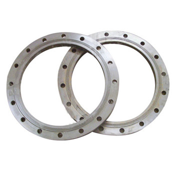 304 316L Stainless Steel Fitting Bw Ss Stub End Pipe Flange 