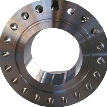 ASTM A182 ANSI B16.5 304L 316L Casting Stainless Steel Flange Wn Flange (KT0340) 