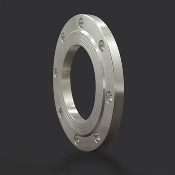 Stainless Steel Cast Welding Forged Carbon Steel Plat FF Blind Flange 