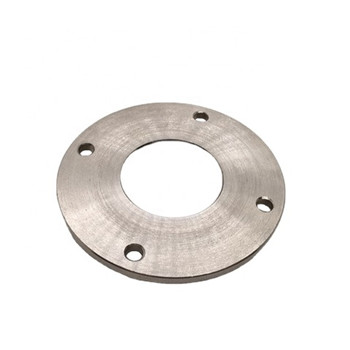 A182 F304L / F316L Stainless Steel Weld Neck Flange Forged Plat Flange 