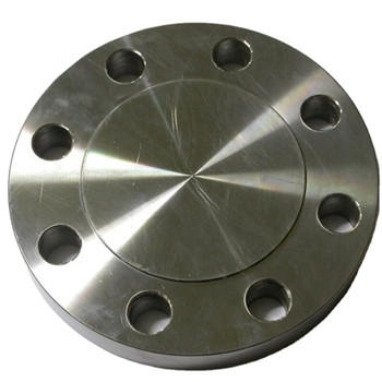 Densen Customized Stainless Steel 304 Silica Sol Investment Casting Blank Flanges Blind Flange atau Floor Flange Cdfl368 