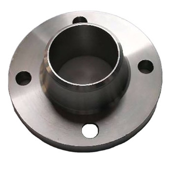 Flange Plat Stainless Steel 