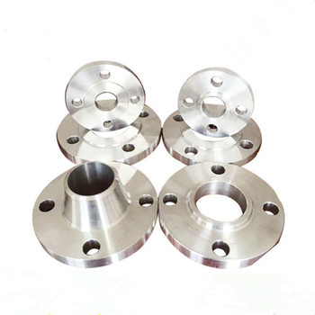 Stainless Steel F316ti Leher Weld Neck ANSI Flange (PY0058) 